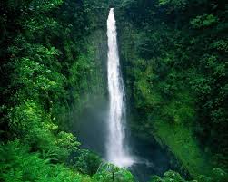Manufacturers Exporters and Wholesale Suppliers of Water falls New Delhi Delhi
